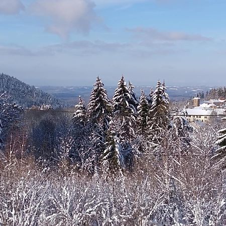 Chalet Neuf Avec Jacuzzi Prive, Vue Imprenable Sur Massif Des Vosges Villa Belfahy Eksteriør billede