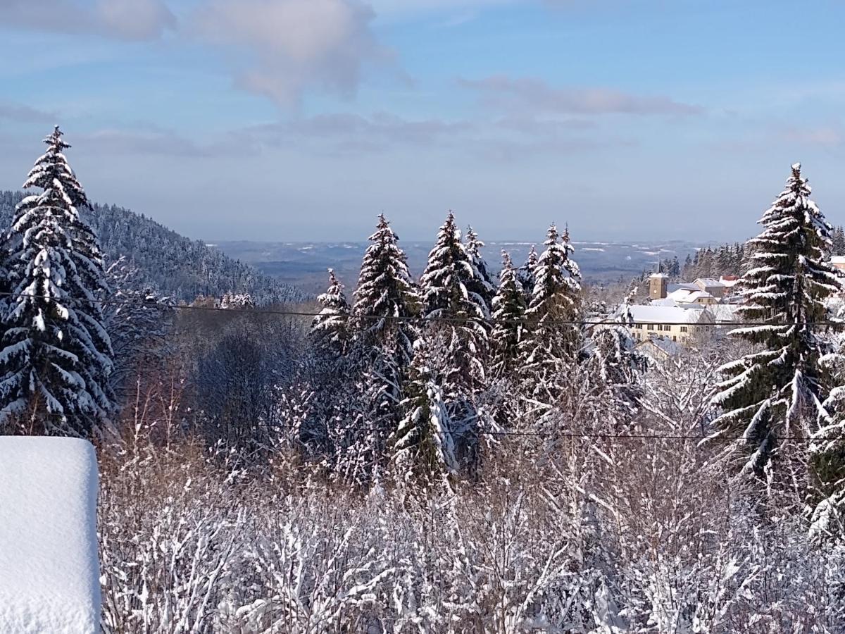 Chalet Neuf Avec Jacuzzi Prive, Vue Imprenable Sur Massif Des Vosges Villa Belfahy Eksteriør billede